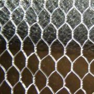 Hexagonal Wire Netting 